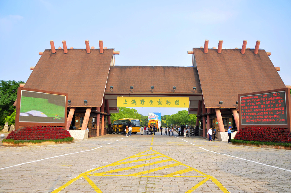 上海野生动物园(上海野生动物园最佳游览顺序)